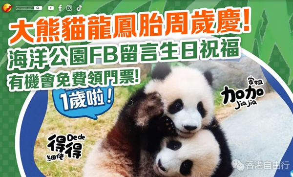 QQ20250703-180235.png