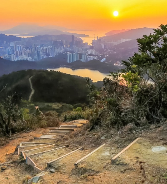 搜狗截图25年07月28日1234_2.png