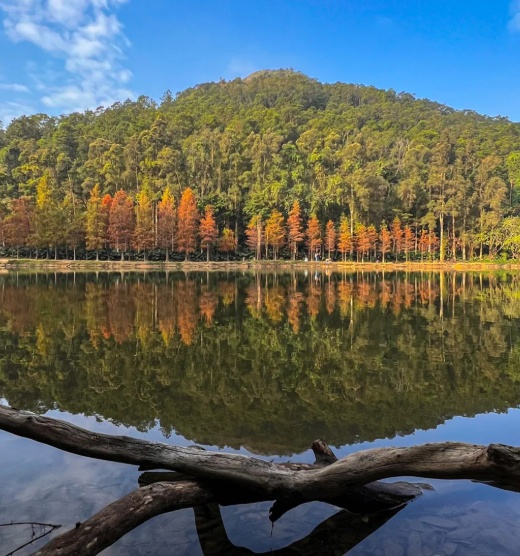 1765255409941135.png 搜狗截图25年12月09日1242_3.png