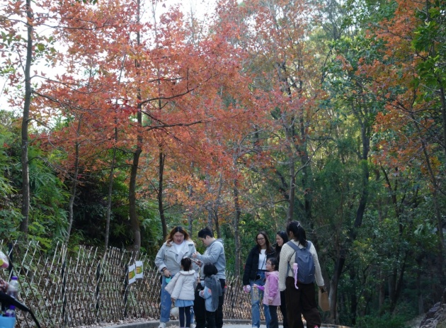 1767405993302951.png 搜狗截图26年01月03日1006_6.png