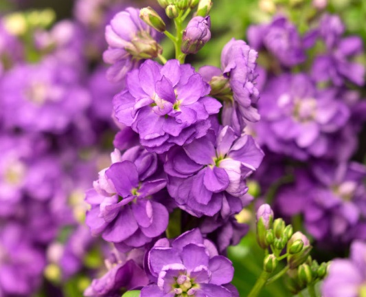 1767674777607998.png 搜狗截图26年01月06日1245_9.png