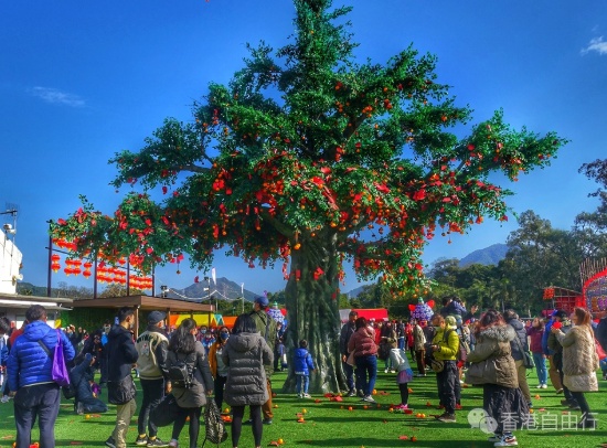 1768097076219146.png 搜狗截图26年01月11日1003_10.png