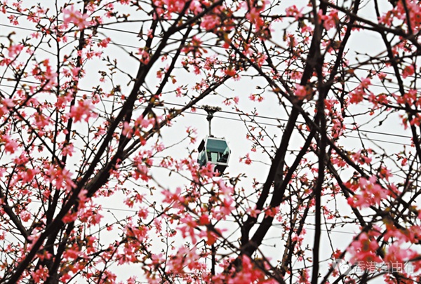 1769743740516806.png QQ20260130-112825.png