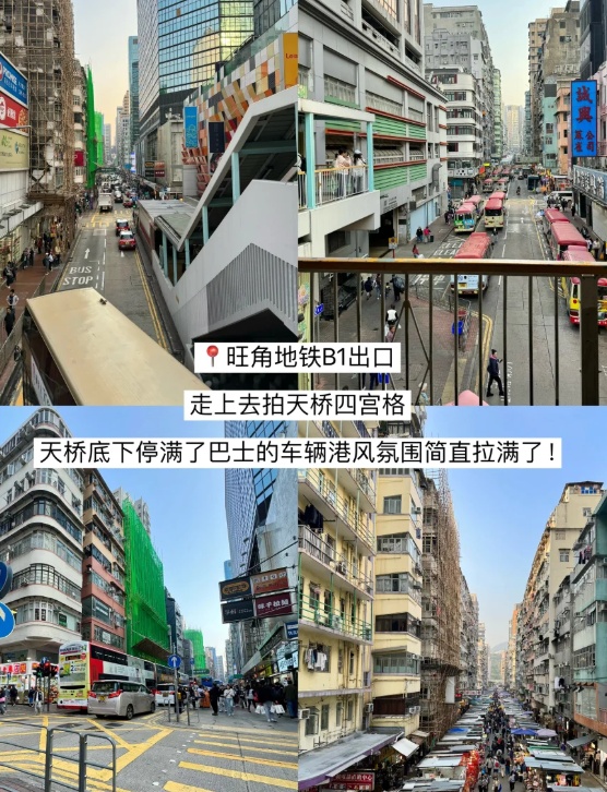 搜狗截图26年03月02日1251_3.png